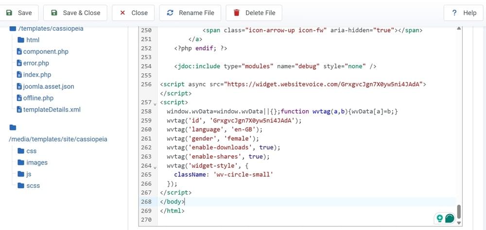 Joomla Code with TTS
