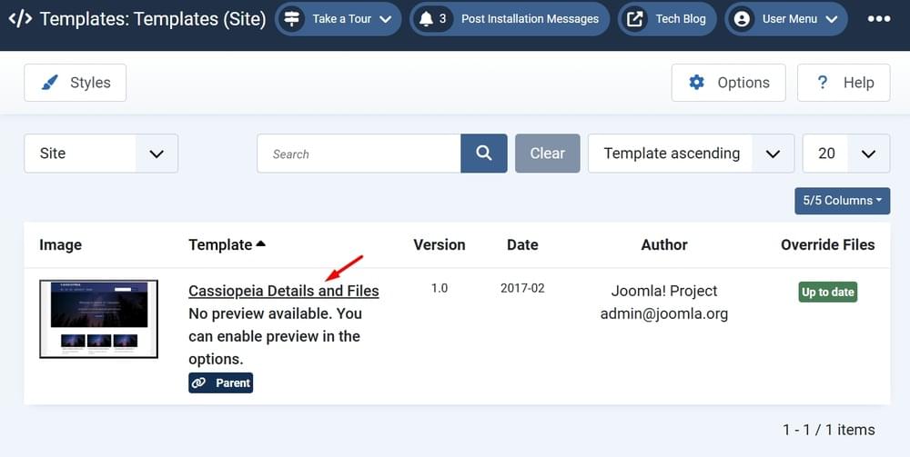View Joomla Theme Files